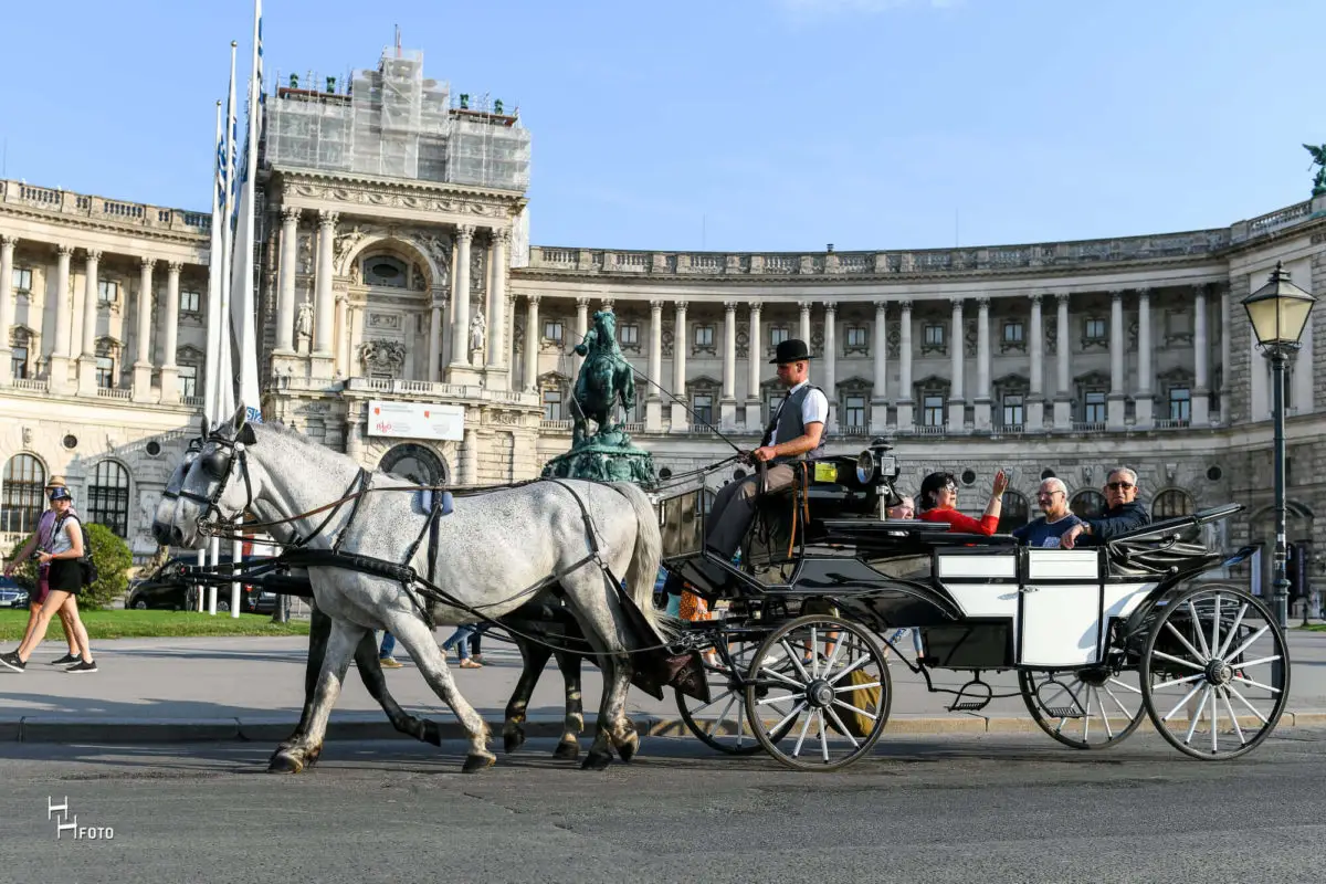 GUTSCHEIN Route 9: Good Morning Vienna: Innenstadt - 60 Min. – Bild 2
