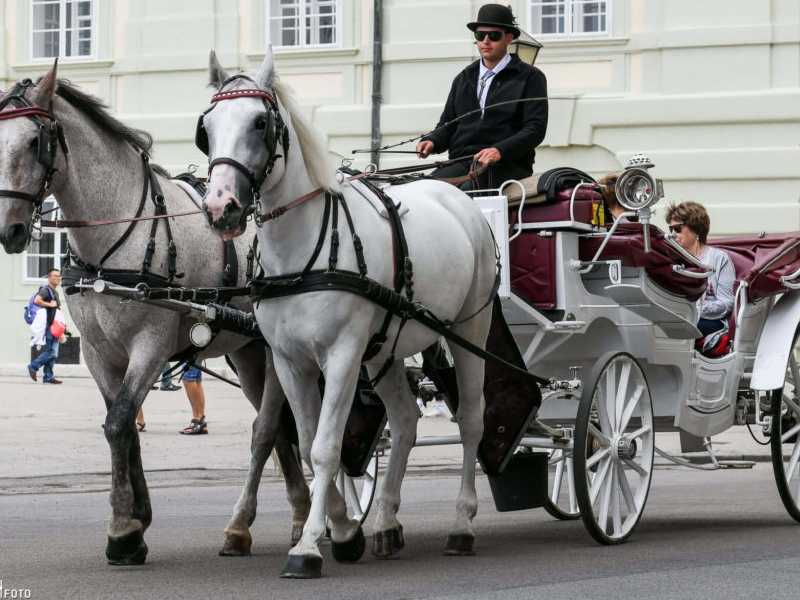 Fiaker (Pferdekutsche) der Fiakerzentrale in Wien