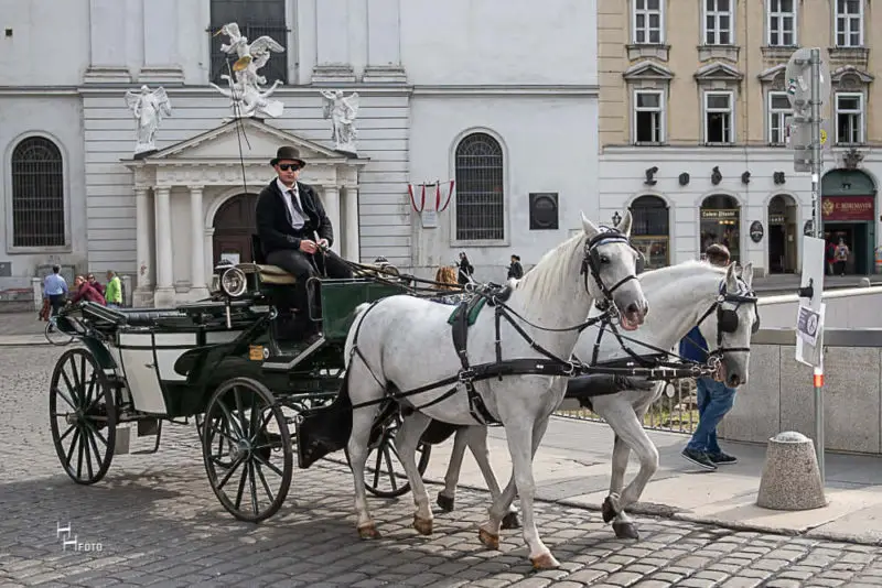 Route 9: Good Morning Vienna Innenstadt - 60 Min.